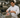 A professional chef in a commercial kitchen places vacuum-sealed meat into a sous vide water bath using an Otiv sous vide machine, which is visible on the counter with its logo displayed clearly.